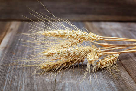 Wheat ears on a wooden backgroundの写真素材