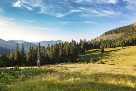 Tourist tents on a green meadow near a forest in the mountains.の写真素材