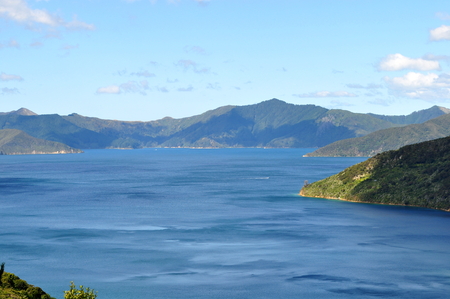 Golden crops and fields surrounding Napier in summertime, New Zealandの写真素材