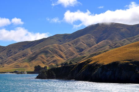 Beautiful landscape of Marlborough Sounds, New Zealandの写真素材