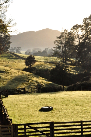 Landscape of a Sheep Farm in New Zealand at sunrise