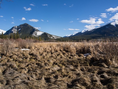 Vermillion Lakes in Banff National Park, Alberta, Canada