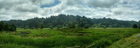 Landscape of Elk Meadows in Oregon, United Statesの写真素材