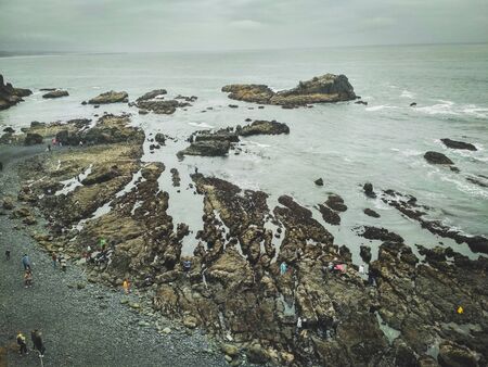 Cape Disappointment with Seals on Rocks, Washingtonの写真素材