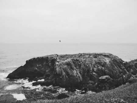 Cape Disappointment with Seals on Rocks, Washington