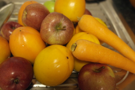 Different autumn harvest from the gardenの写真素材