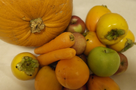 Different autumn harvest from the gardenの写真素材