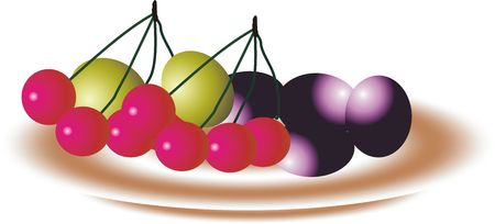 fruits in plate,isolated vector graphicの写真素材