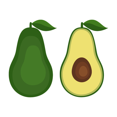 Flat icon fruit avocado with leaf. Vector illustration.のイラスト素材