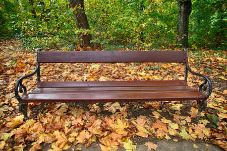 The wooden bench in autumn. No people in a park.