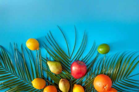Summer tropical fruit and green palm layout blue background.Minimal natural flat lay
