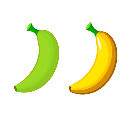 Banana fruit icon. Cartoon illustration of banana fruit vector icon for web designのイラスト素材