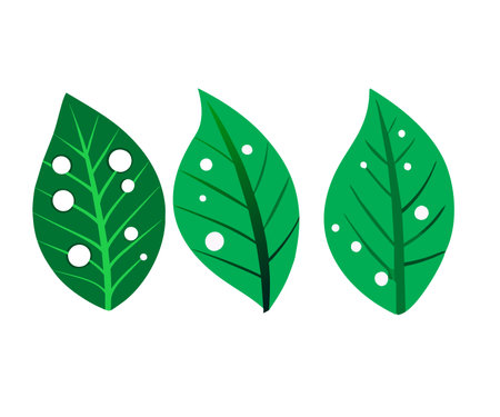 Green leaves worm holes isolatedのイラスト素材