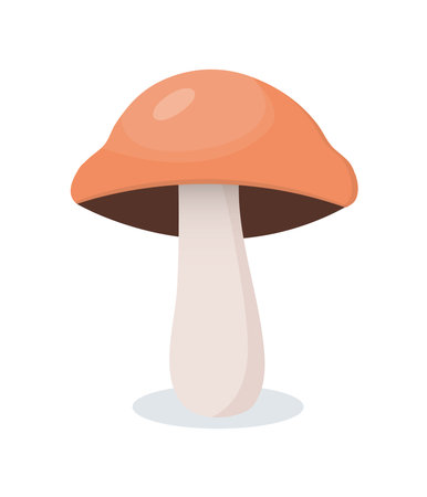 mushroom icon over white background. colorful design. vector illustrationのイラスト素材