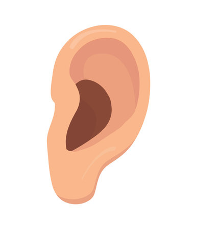 Human ear icon isolated on a white backgroundのイラスト素材