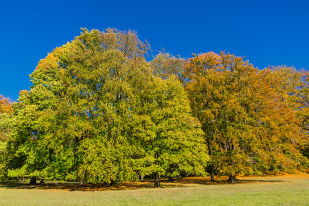 Autumn feelings in the beautiful Werra valley - Thuringia / Germanyの写真素材