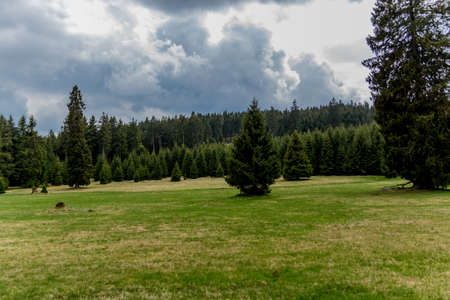 Hiking in different places through the Thuringian Forest - ThÃ¼ringer Wald / Germanyの写真素材
