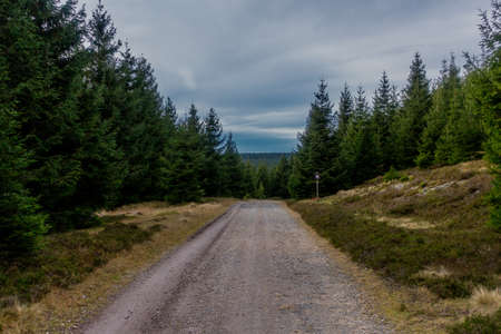 Hiking in different places through the Thuringian Forest - ThÃ¼ringer Wald / Germanyの写真素材
