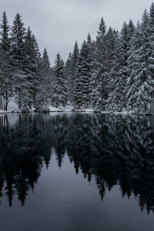 Winter hiking in different places through the Thuringian Forest - Germany