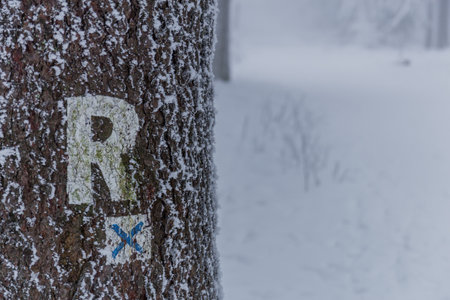Winter hiking in different places through the Thuringian Forest - Germanyの写真素材