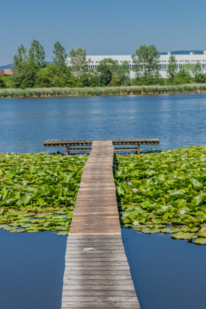 Summer exploring tour along the beautiful Werra Valley. - Breitungen / lake viewの写真素材