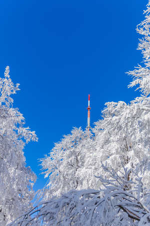 Winter Exploration tour through the RhÃ¶n in near the Schwarzen Moorの写真素材