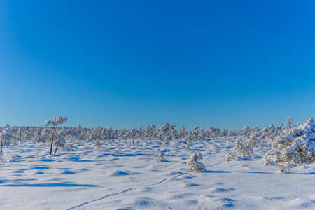 Winter Exploration tour through the RhÃ¶n in near the Schwarzen Moor
