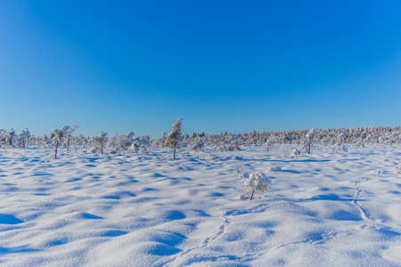 Winter Exploration tour through the RhÃ¶n in near the Schwarzen Moorの写真素材