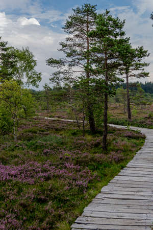 Exploration tour through the RhÃ¶n in near the Schwarzen Moor