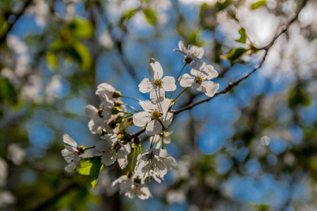 Spring exploring tour along the beautiful Werratal - Breitungen Seeblick