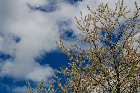 Spring Walk through the beautiful city of Schmalkalden - Thuringia - Germanyの写真素材