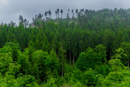 Little Summer Walk through the beautiful nature of Schmalkalden in Thuringia