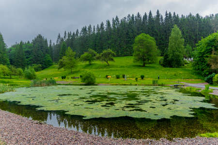Little Summer Walk through the beautiful nature of Schmalkalden in Thuringiaの写真素材