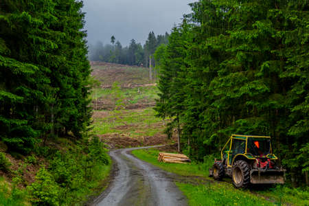 Little Summer Walk through the beautiful nature of Schmalkalden in Thuringiaの写真素材