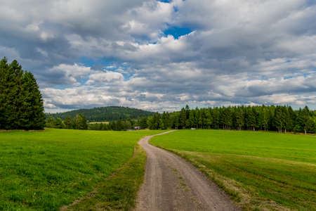 Summer Walk through the beautiful nature of the Thuringian Woods