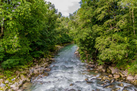 Hiking Adventure around the beautiful Engenloch Gorge in Bregenz Forestの素材 [FY310173985333]