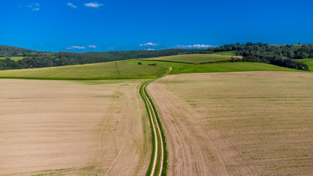 Late summer grain harvest near Fambach - Thuringia - Germany