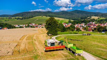 Late summer grain harvest near Schmalkalden - Thuringia - Germanyのeditorial素材