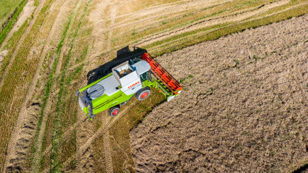 Late summer grain harvest near Schmalkalden - Thuringia - Germany