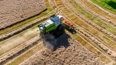 Late summer grain harvest near Schmalkalden - Thuringia - Germanyのeditorial素材