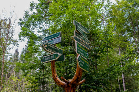 Late summer walk in the beautiful parks of Bad Liebensteinの写真素材