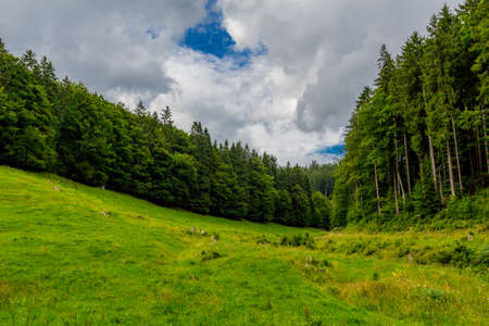 Late Summer walk through the Thuringian Forest near Kleinschmalkaldenの写真素材