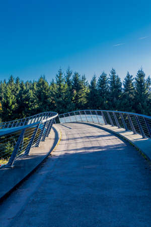 Autumn walk on the heights of the Thuringian Forest at SchÃ¼tzenbergmoor near Oberhof - Thuringiaの素材 [FY310177387801]