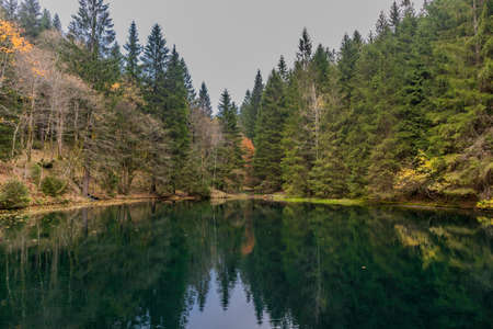 Autumn walk on the heights of the Thuringian Forest at SchÃ¼tzenbergmoor near Oberhof - Thuringiaの写真素材
