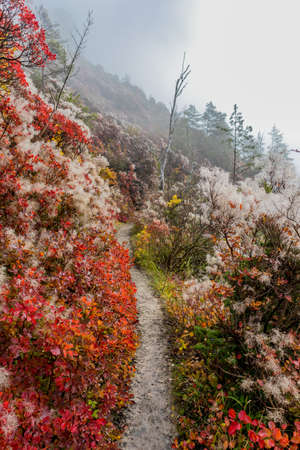 Relaxed autumn walk along the Saale Horizontale in Jena - Thuringiaの写真素材