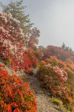 Relaxed autumn walk along the Saale Horizontale in Jena - Thuringiaの写真素材