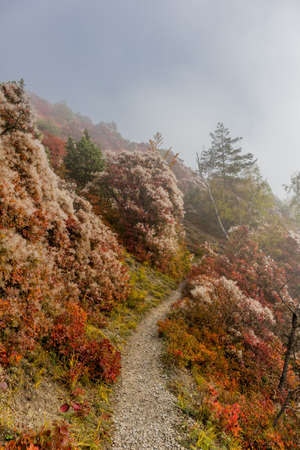 Relaxed autumn walk along the Saale Horizontale in Jena - Thuringiaの写真素材