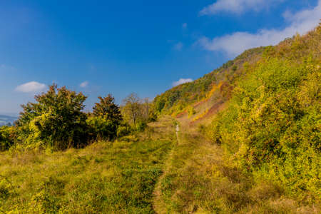 Autumn discovery tour along the magnificent HÃ¶rsel Mountains near Eisenach - Thuringiaの写真素材
