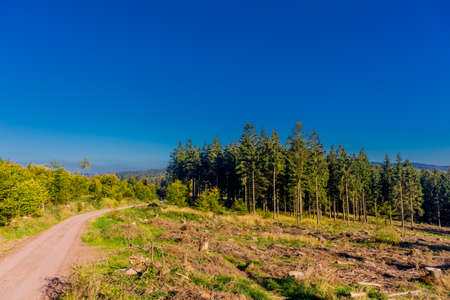 Autumn ambience on the heights of the Thuringian Forest near Ruhla - Thuringiaの写真素材