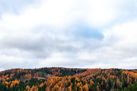 Hiking through a colorful Thuringian forest - Thuringiaの写真素材